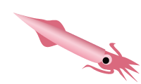ヤリイカのイラスト